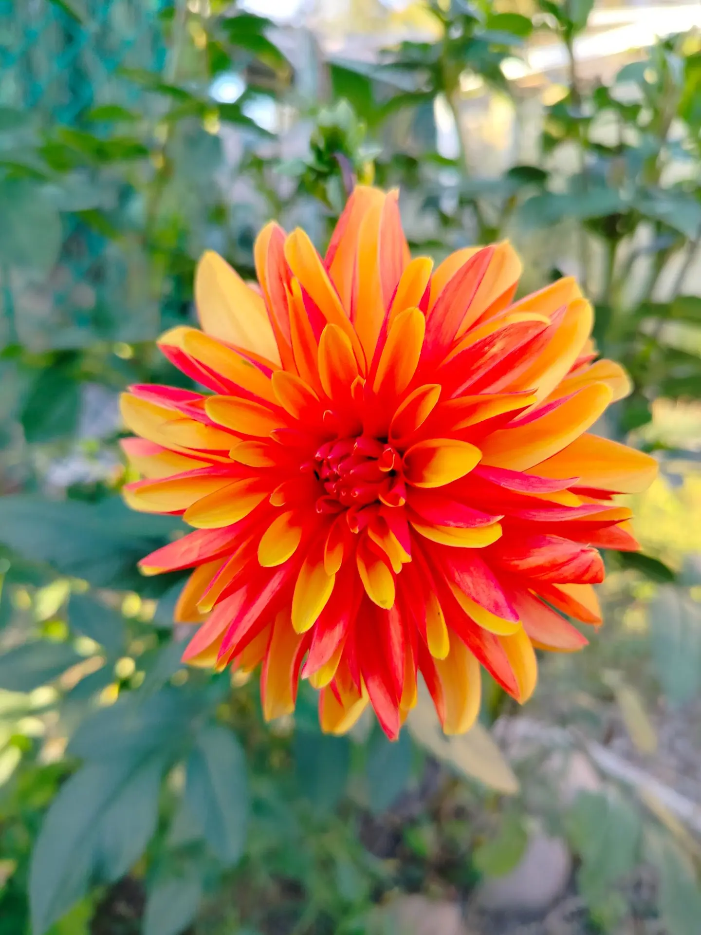 Фото