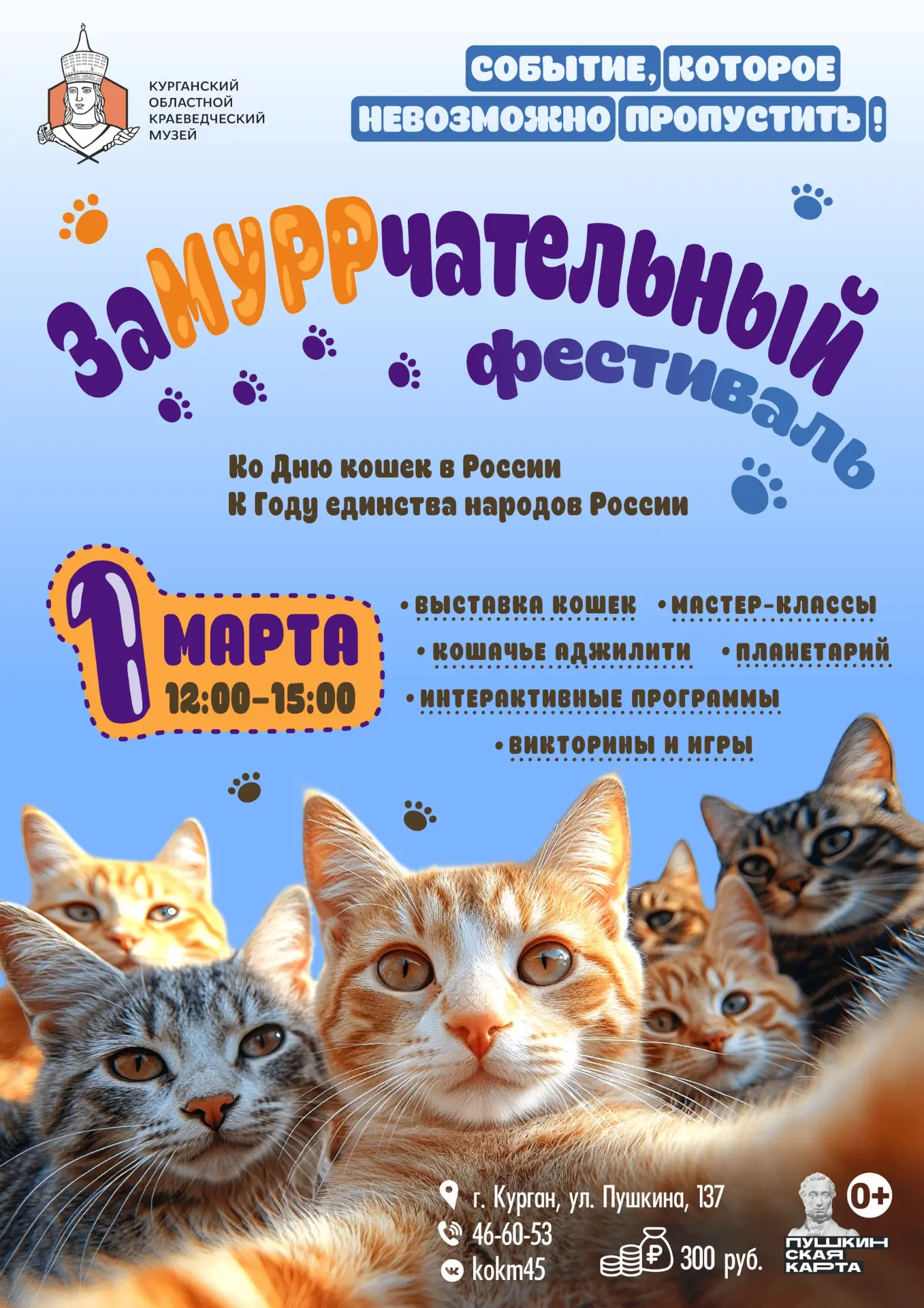 Много котиков не бывает!