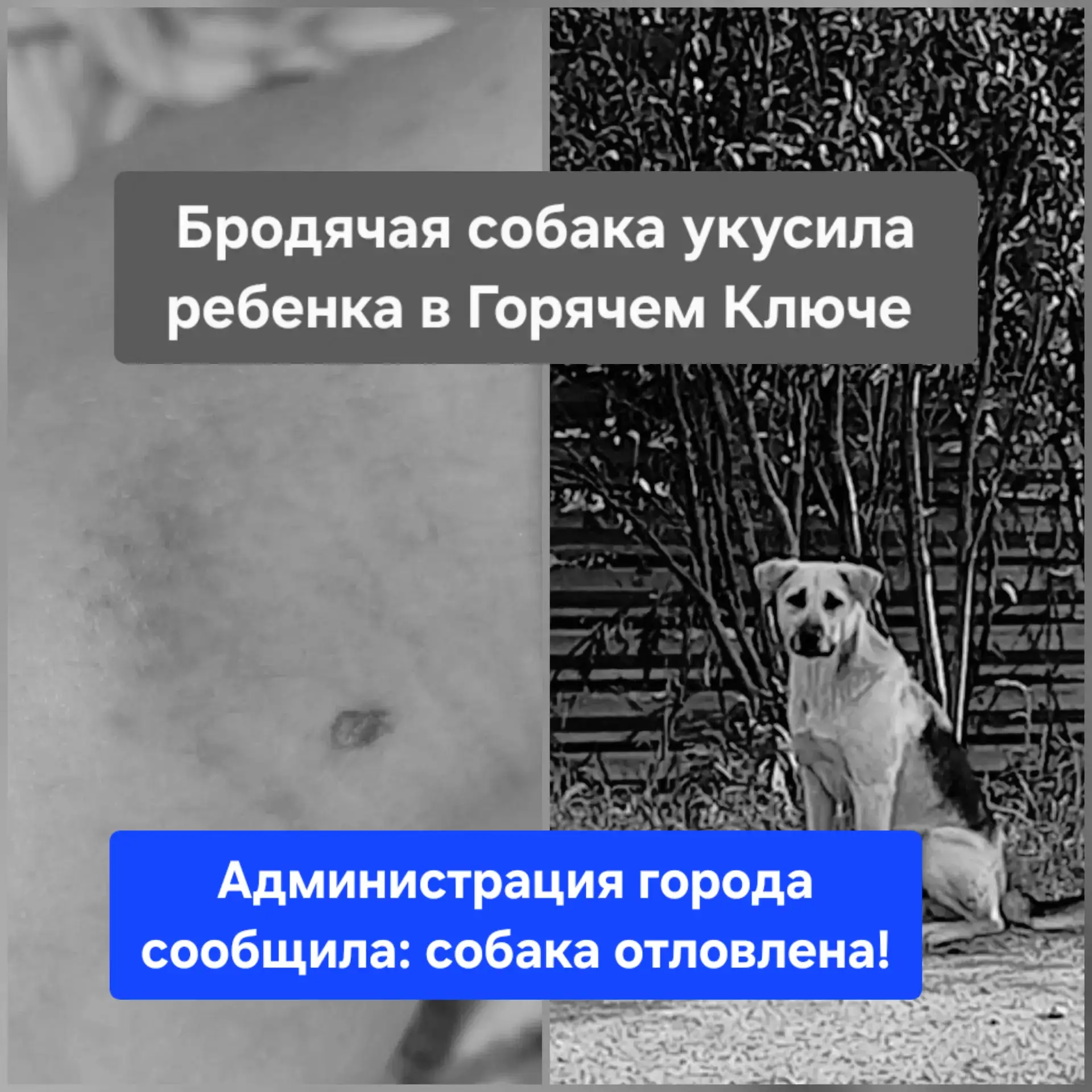 Пишет официальный аккаунт администрации города: