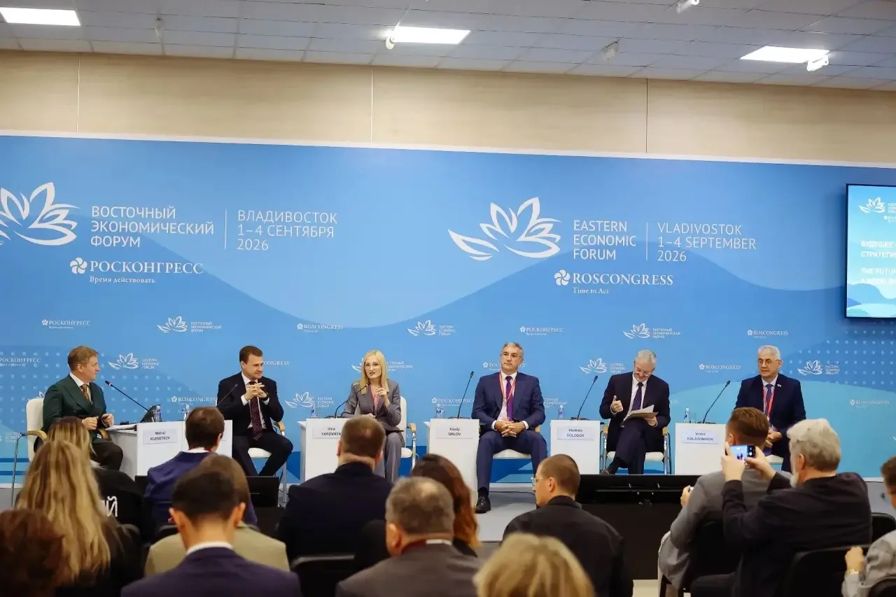 Стратегию социально-экономического развития ДФО до 2030 года с прогнозом до 2036 года о...