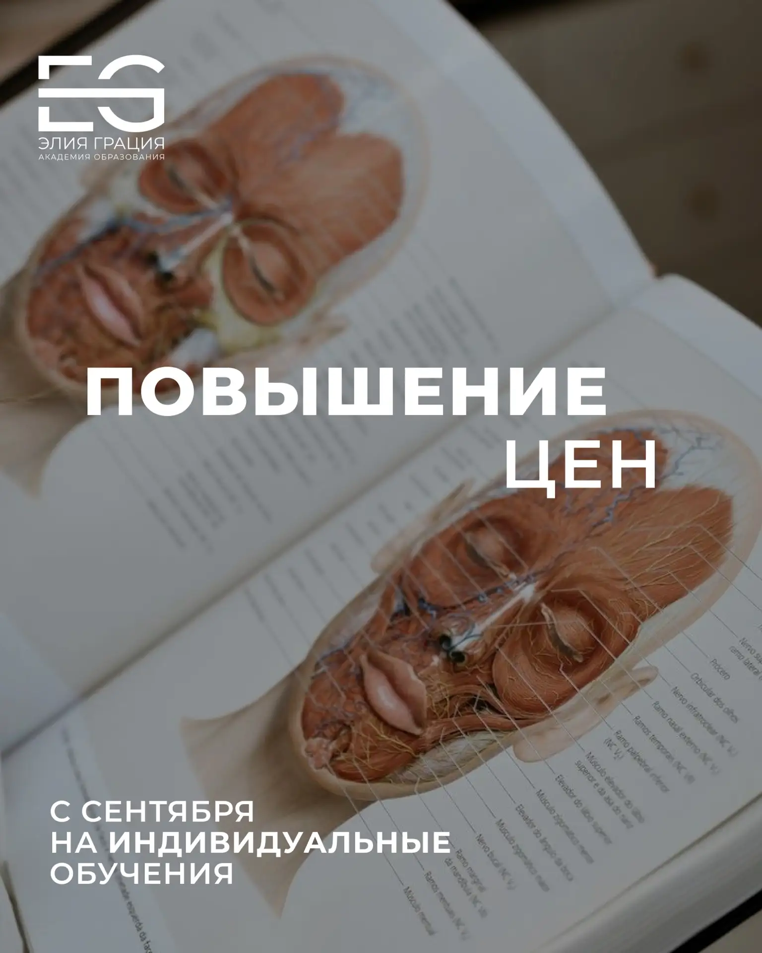 📢 Важная новость: с сентября меняется стоимость индивидуального обучения в нашей Академии