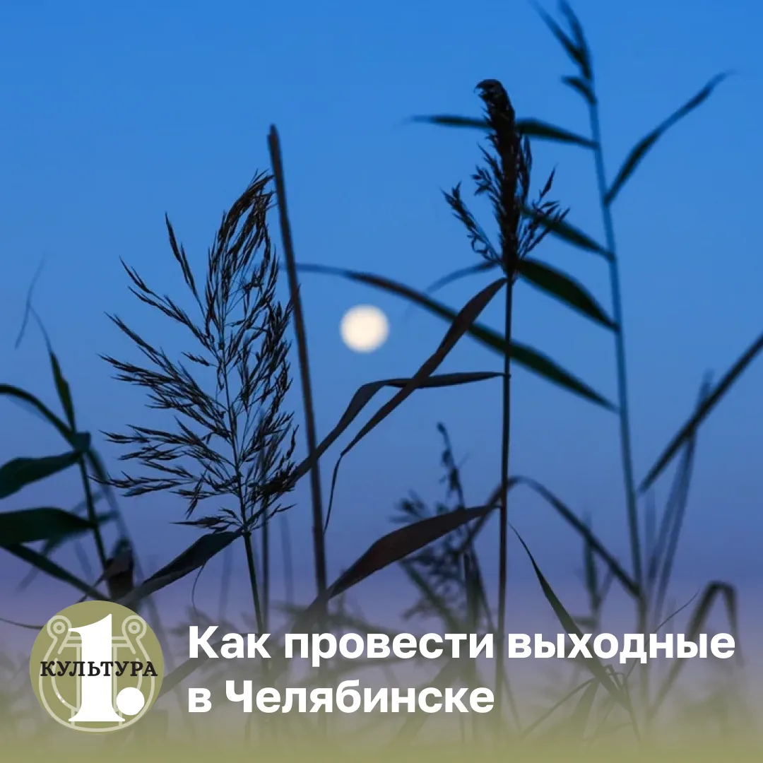 А вот и наша подборка мероприятий на эти выходные 👆🏻
