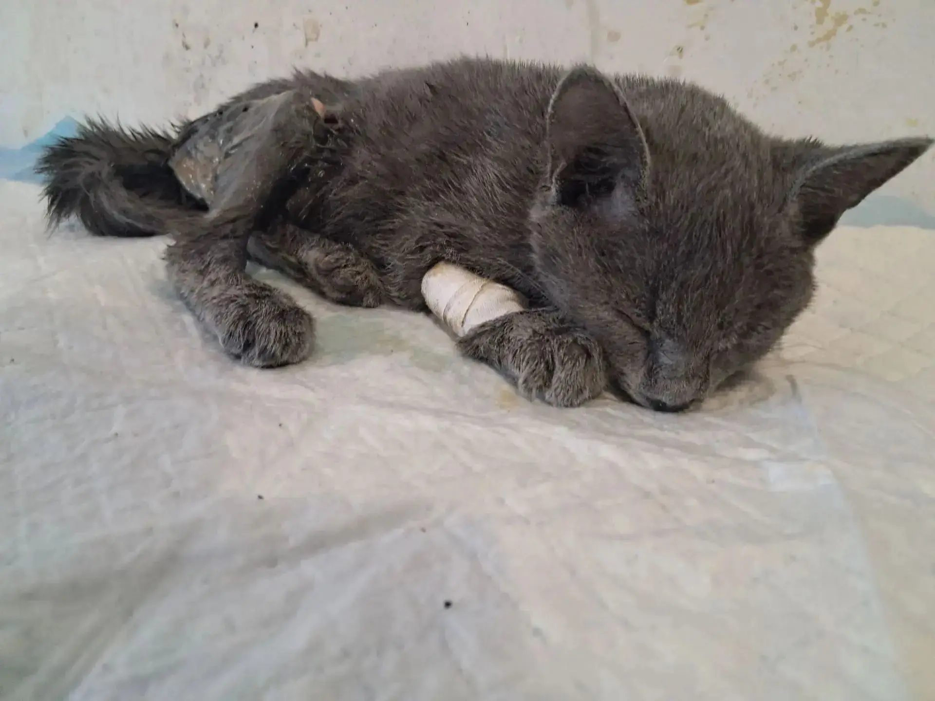 💔💧😿