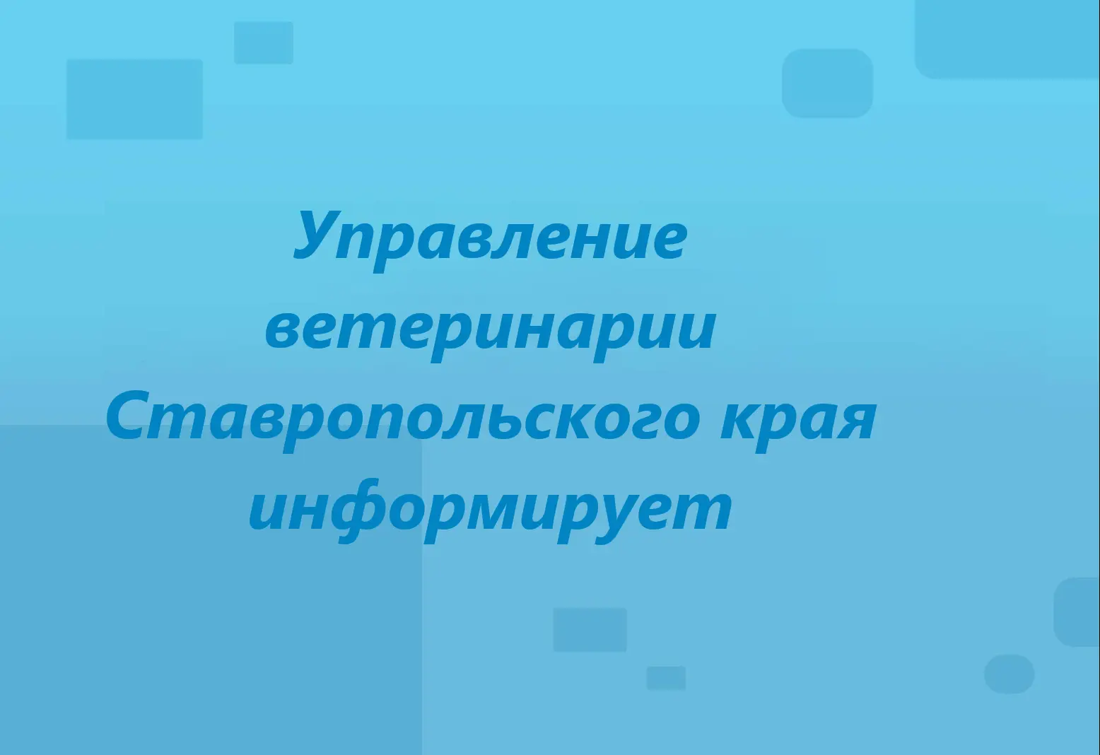 Из органов МВД в управление ветеринарии Ставропольского края поступили сведения, подтве...