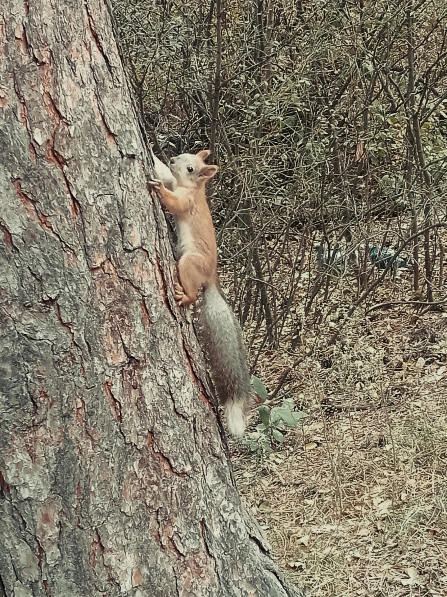 🍂 Первые фотографии с фотоконкурса «Осенняя благодать» уже у нас📸