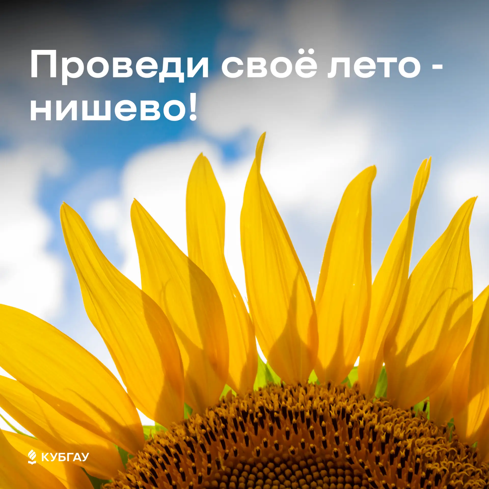 Проведи своё лето - нишево!

Представляем 5 советов как круто провести лето!

Листай карточки ➡️