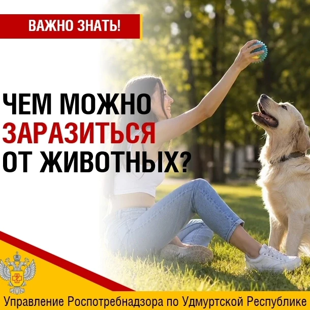 🐕Животные могут быть источником инфекций, которые передаются человеку. Такие заболеван...