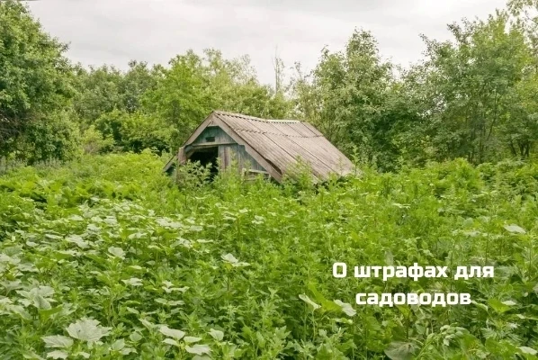 Начинается дачная пора и значительно увеличивается количество работ, проводимых на приу...
