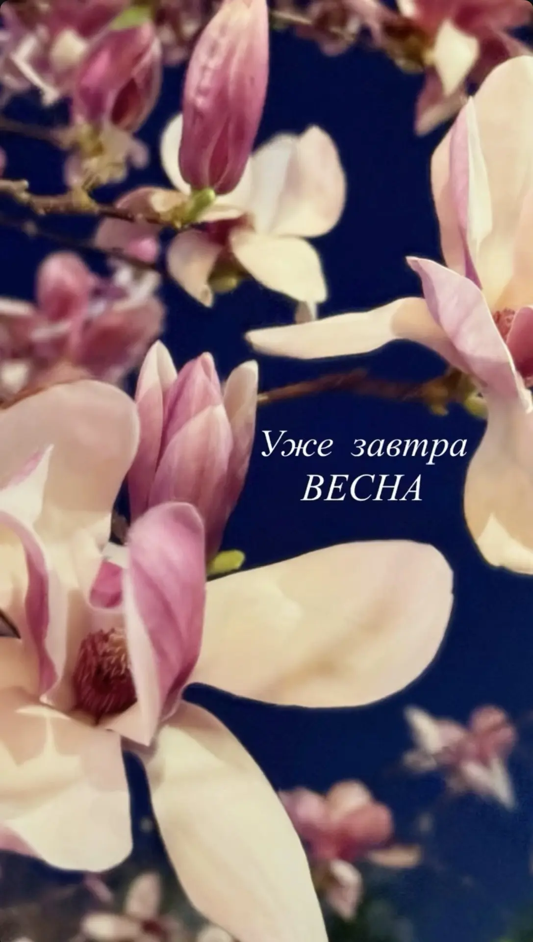 Уже ЗАВТРА ВЕСНА! 🌸