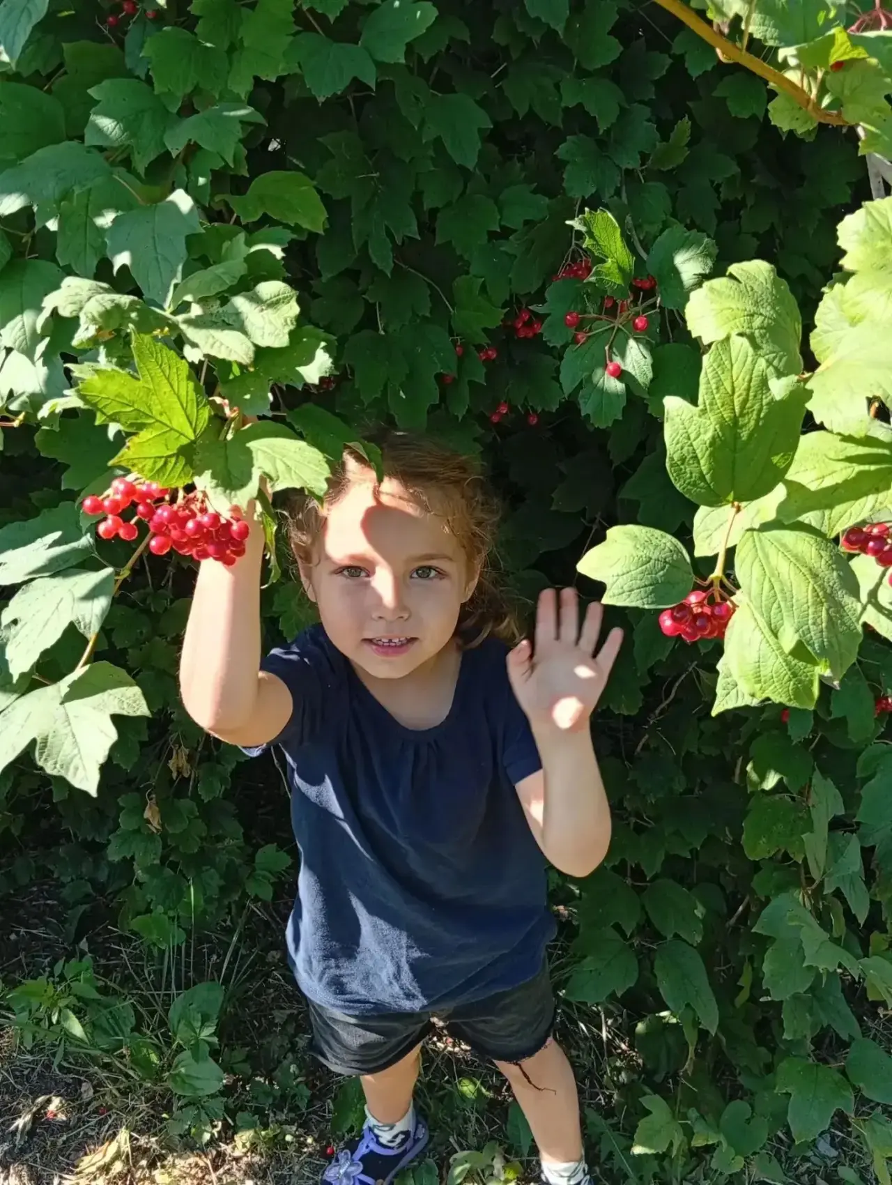 Фотовыставка «Как я провел(а) лето 🌞🌸🥰