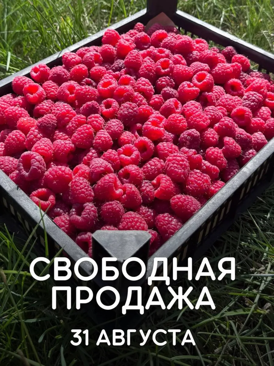 🤍 Ждём вас сегодня 31.08 на свободную продажу!