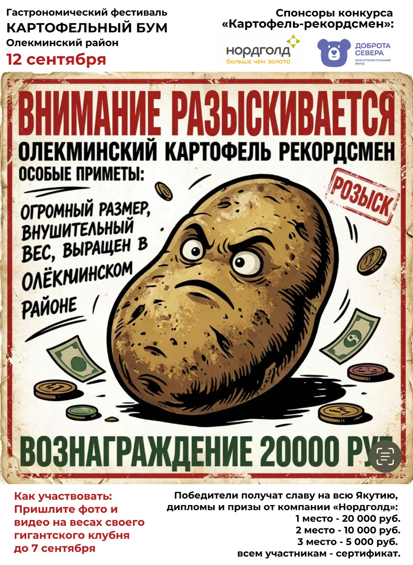 ВНИМАНИЕ! РАЗЫСКИВАЕТСЯ ОЛЁКМИНСКИЙ КАРТОФЕЛЬ‑РЕКОРДСМЕН! 🥔