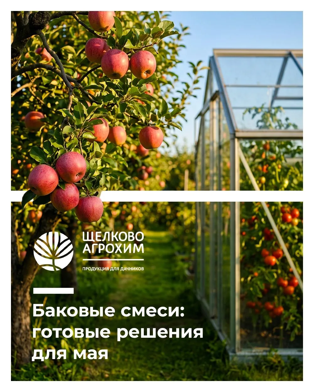 🧪 Баковые смеси: готовые решения для мая.