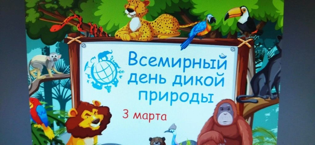 🌍 Сегодня, 3 марта 2026 года в нашей школе проведена викторина, посвящённая Всемирному...