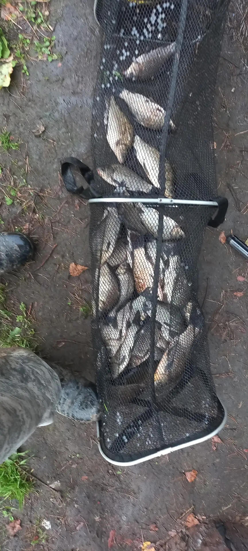 Пофидерили на заветных👍👌🎣