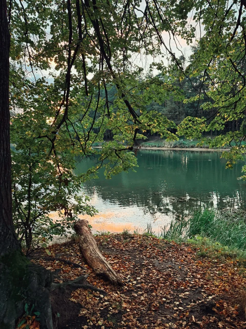 Доброе утро, Татарстан ❤️