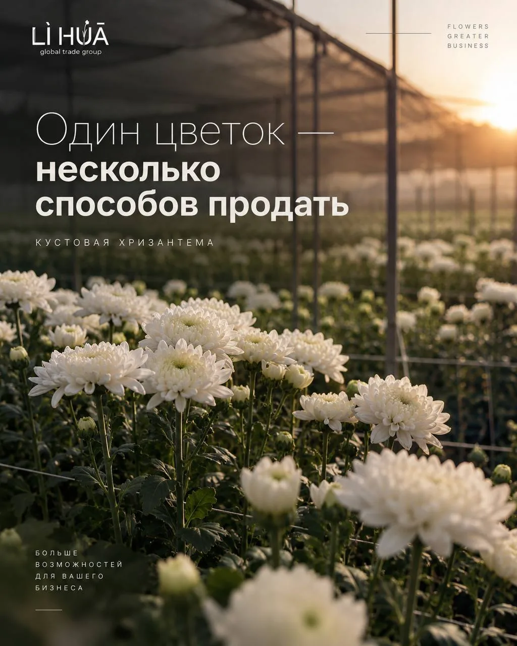 Один цветок — несколько способов продать 🌿