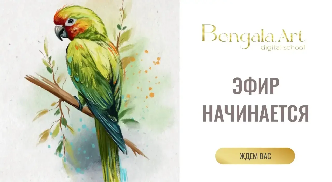 Эфир завершился!