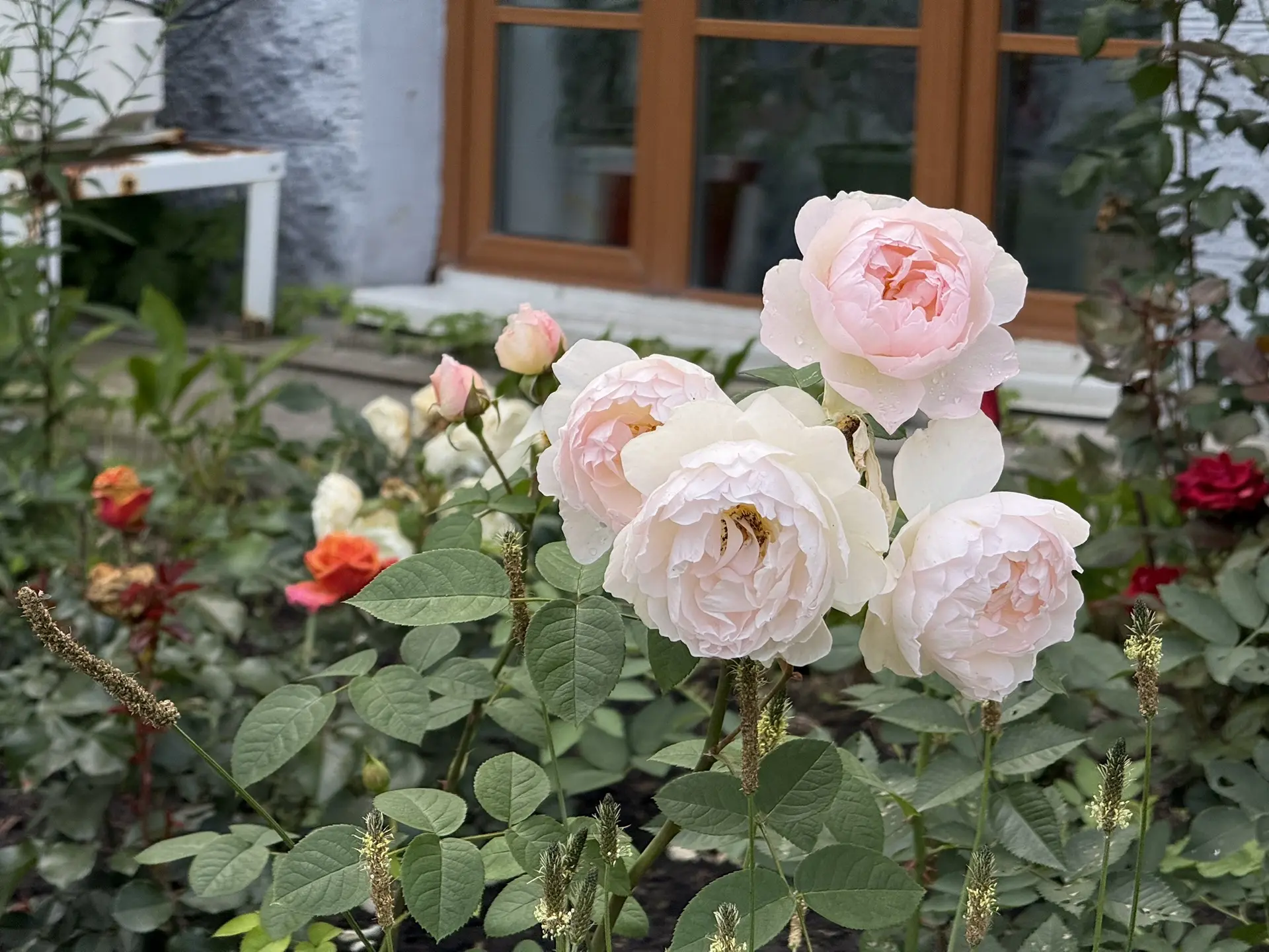 🎈 Доброе утро! Четверг, 23 июля

До +28°C, солнце и лёгкий бриз.

💡 Сегодня у вас есть право на ош
