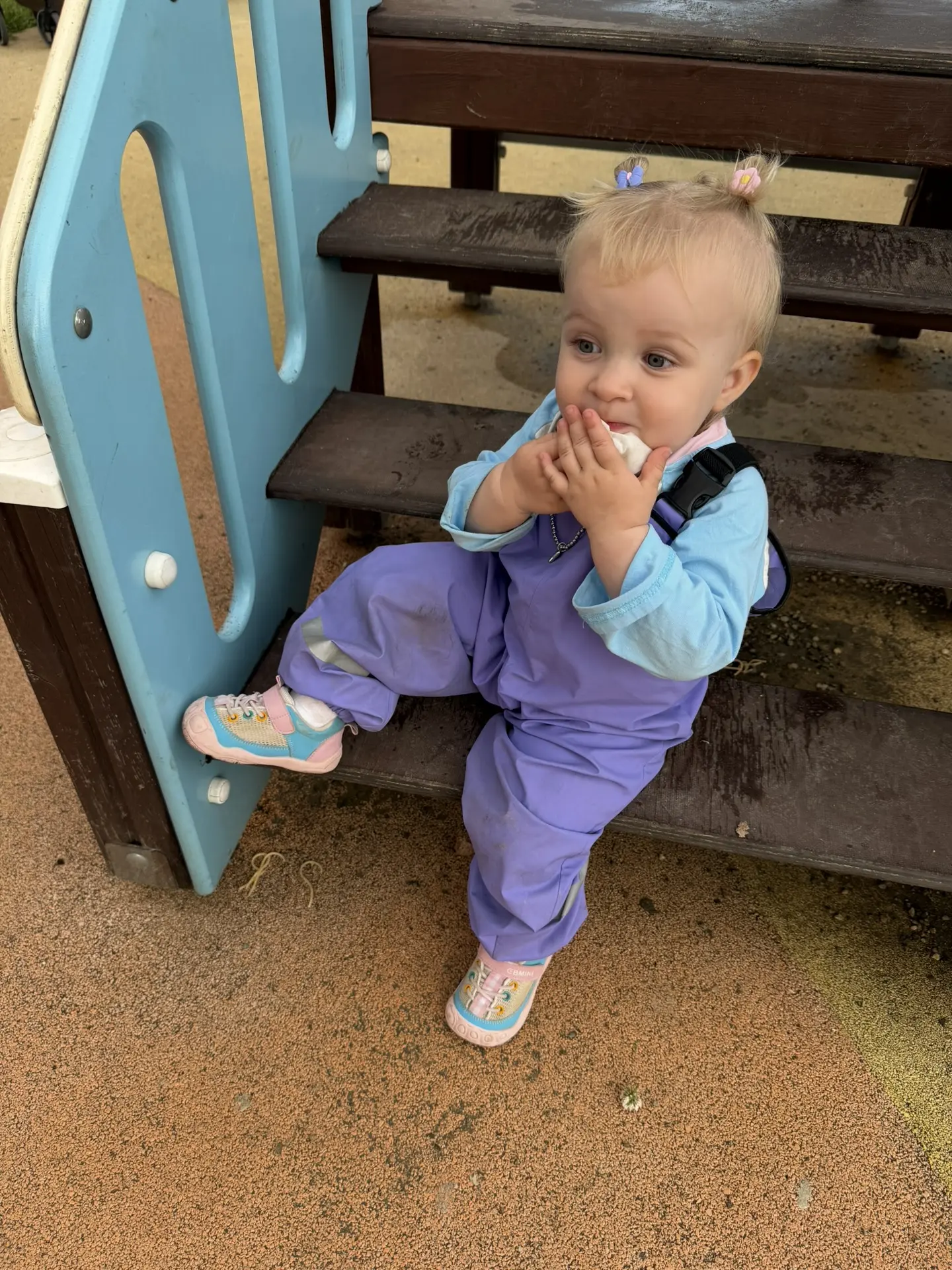 Любимочка🥰

Утром кровь всю выпила, а вечером такая лапушка стала 😂