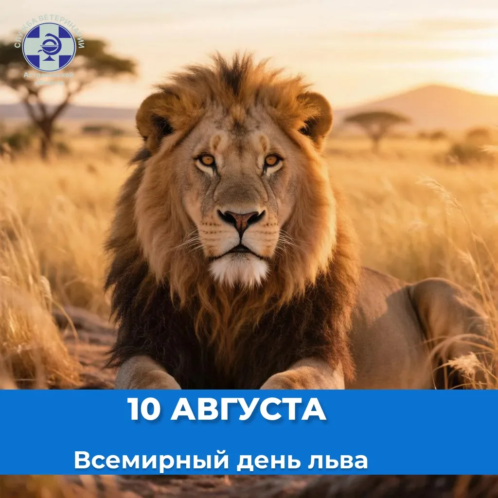 📌Этот праздник был учрежден в 2013 году, чтобы привлечь внимание к стремительному сокр...