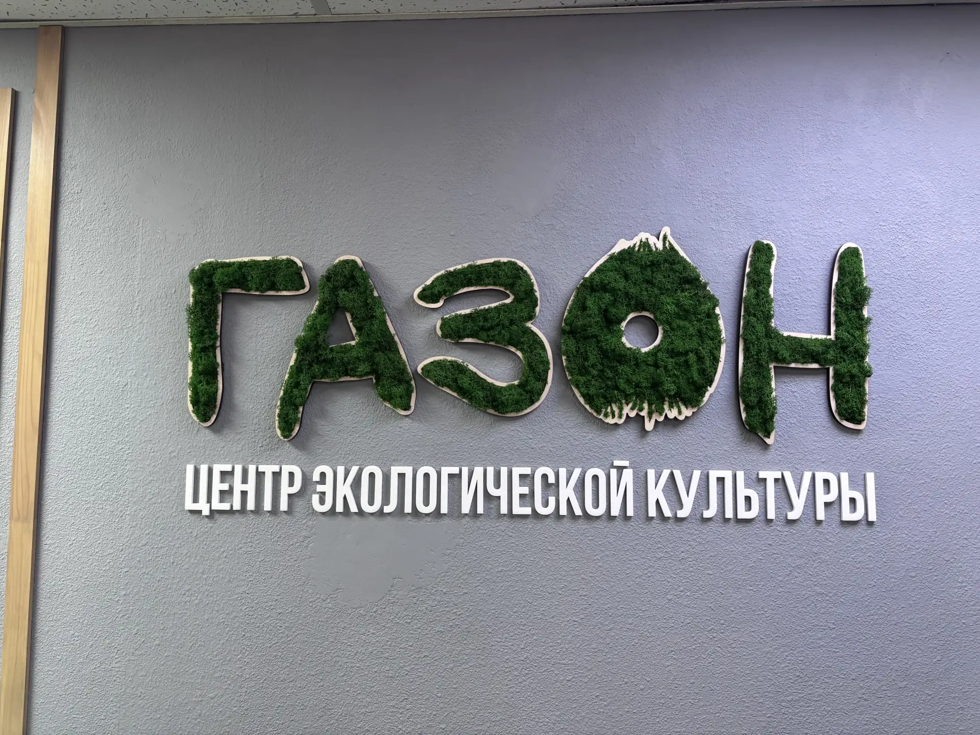 «Зелёный курс» экоцентра «Газон»: 11 месяцев, 700 участников и более 7 тонн вторсырья.