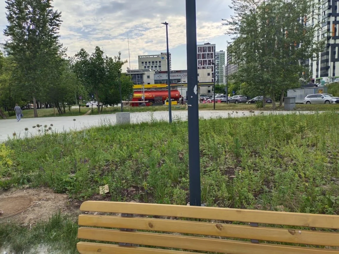 Соседка пишет, что цветники возле метро Яхромская над бы прополоть 🌾
