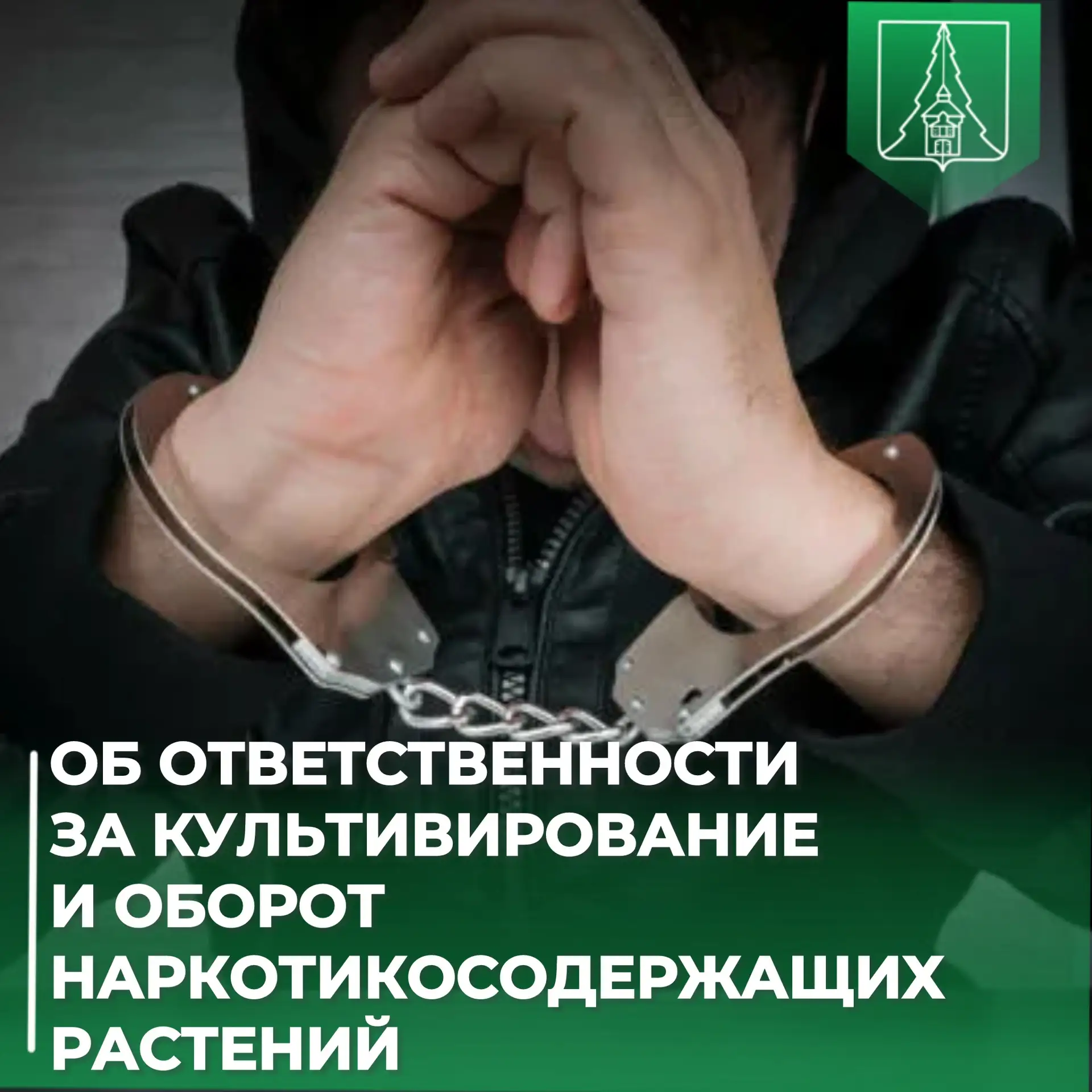 ⚖️ Об ответственности за культивирование и оборот наркотикосодержащих растений

⚠️ Уважаемые жители!
