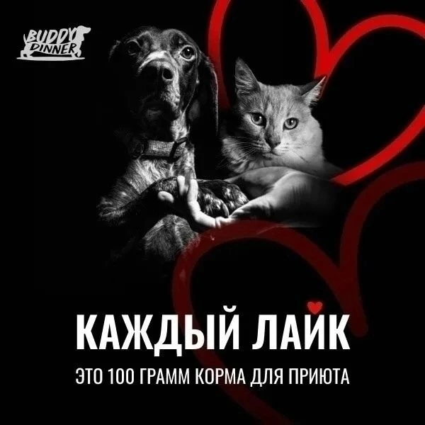 Дорогие подписчики!  Это последний день, когда ваш лайк может превратиться в реальную помощь. Напоми