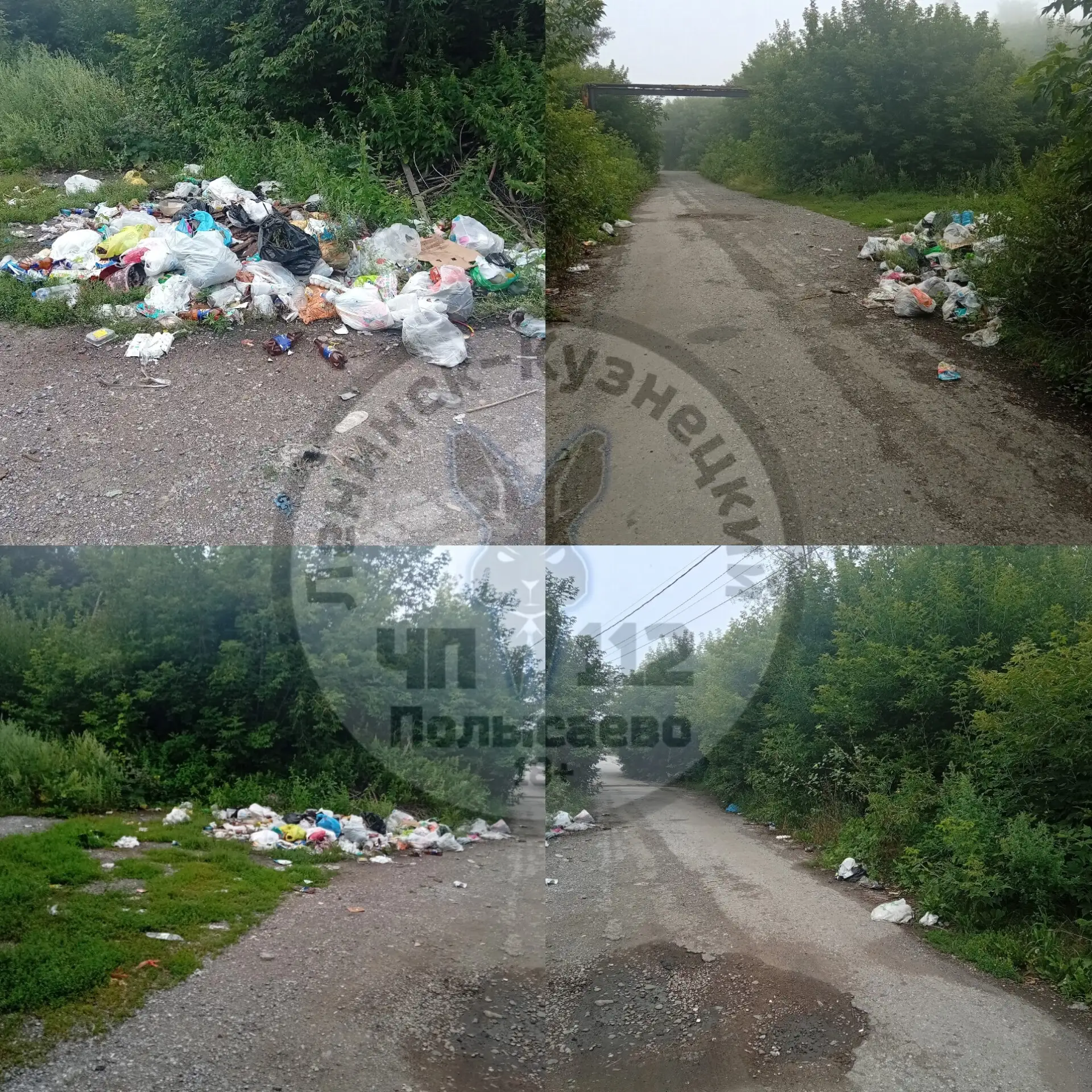 Свиноподобные существа опять накидали мусор на улице Орджоникидзе, напротив Гимназии 12. Трудно коне