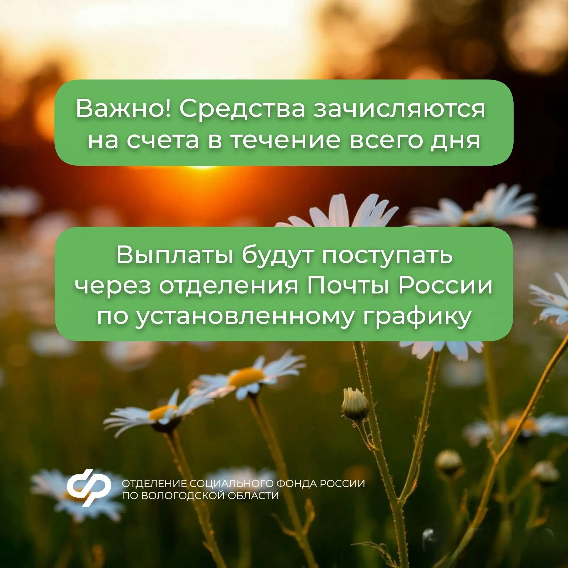 📅 График выплат «детских» пособий за май и пенсий за июнь  Подробнее — в наших карточках.  Напомним 