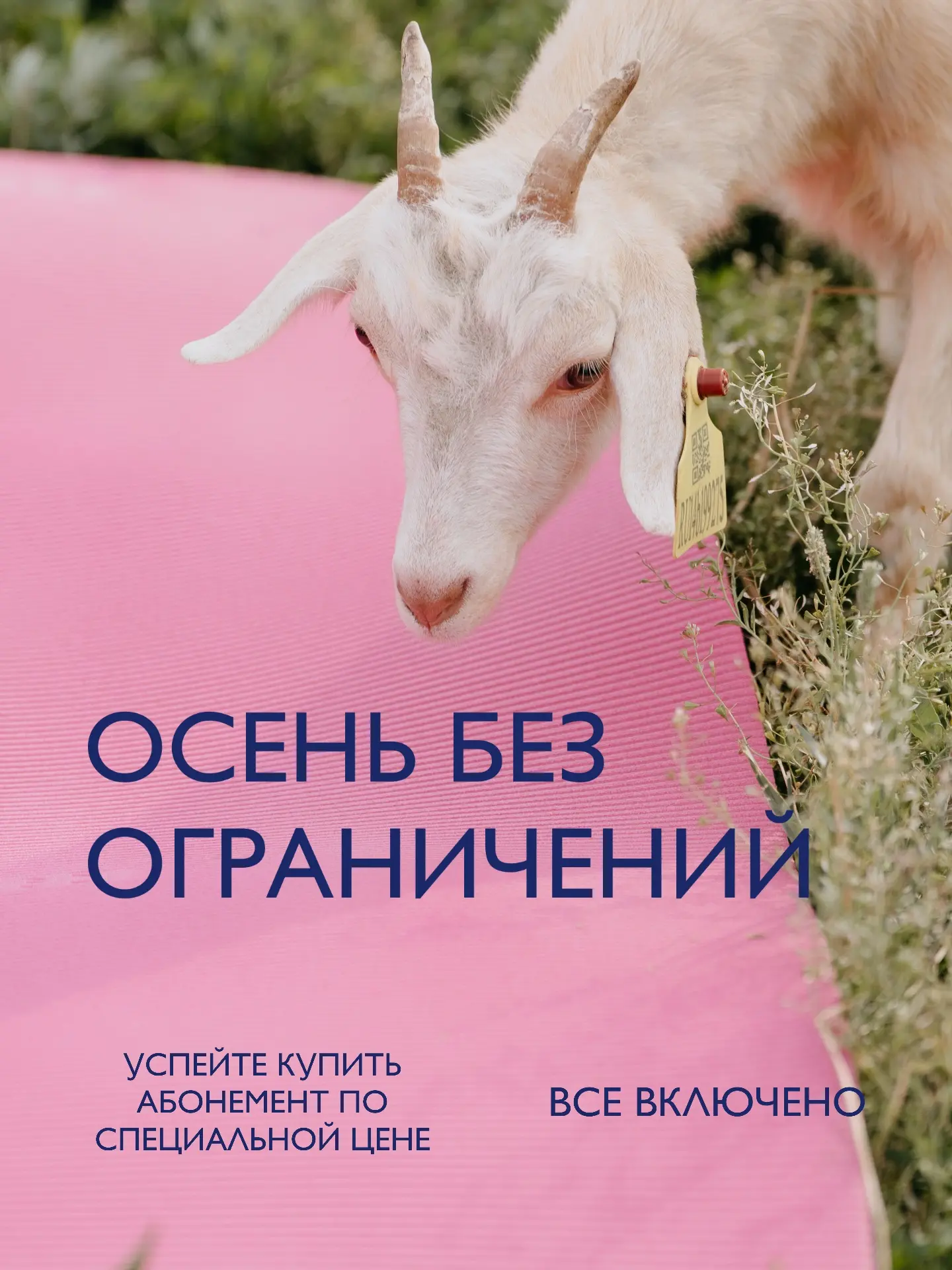АКЦИЯ