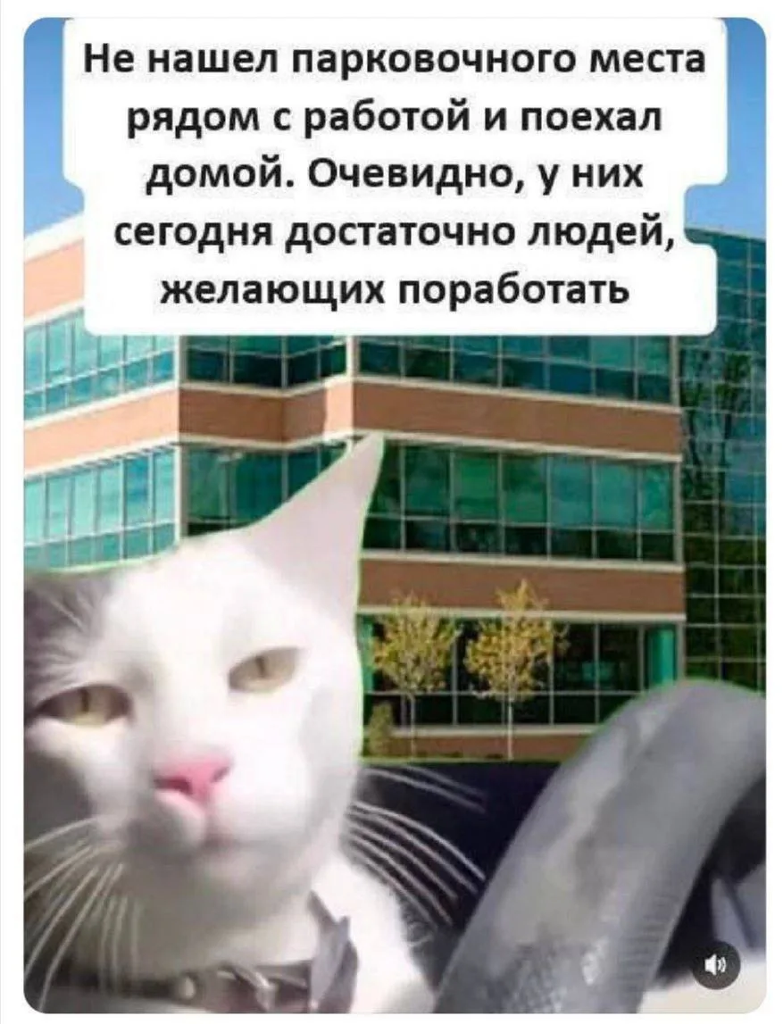 Хотелось бы как-то так, но пока нет такой возможности. С предпоследним понедельником ле...