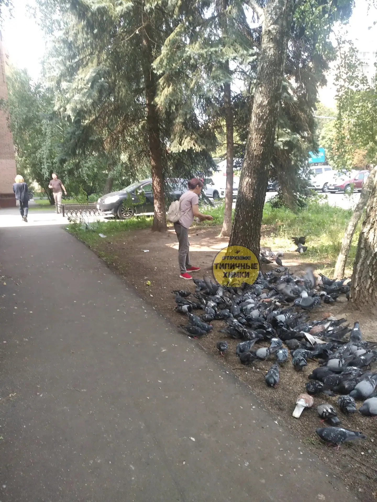 От подписчиков:
________
Мы, жители, устали бороться с сердобольными тётками, которые кормят бесконе