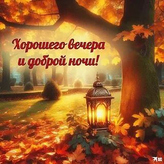 Доброй ночи! 🌒 ✨ Да, осень уже вовсю даёт о себе знать — в воздухе прохлада, листья  н...