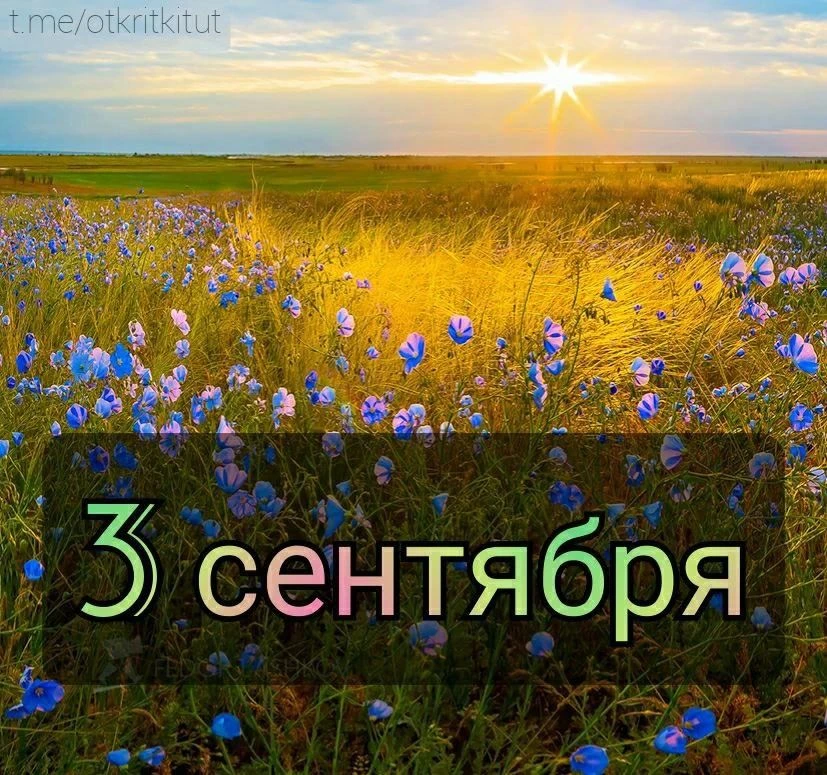 Праздники 3 сентября 🗓️