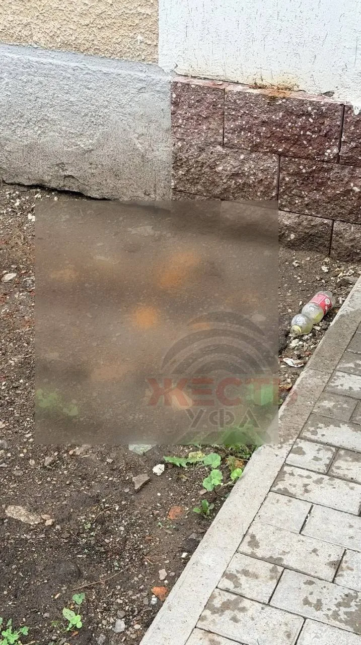 🤢 «Не дай Бог кому-то по голове прилетит»: жительница пожаловалась на свалку под окнам...
