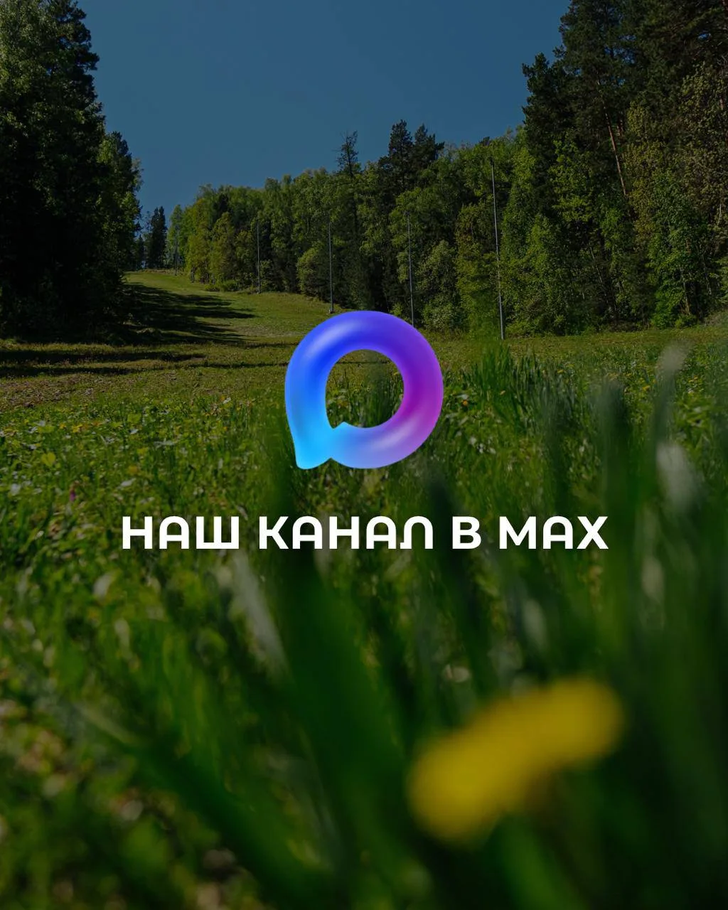Давайте будем на связи 💚