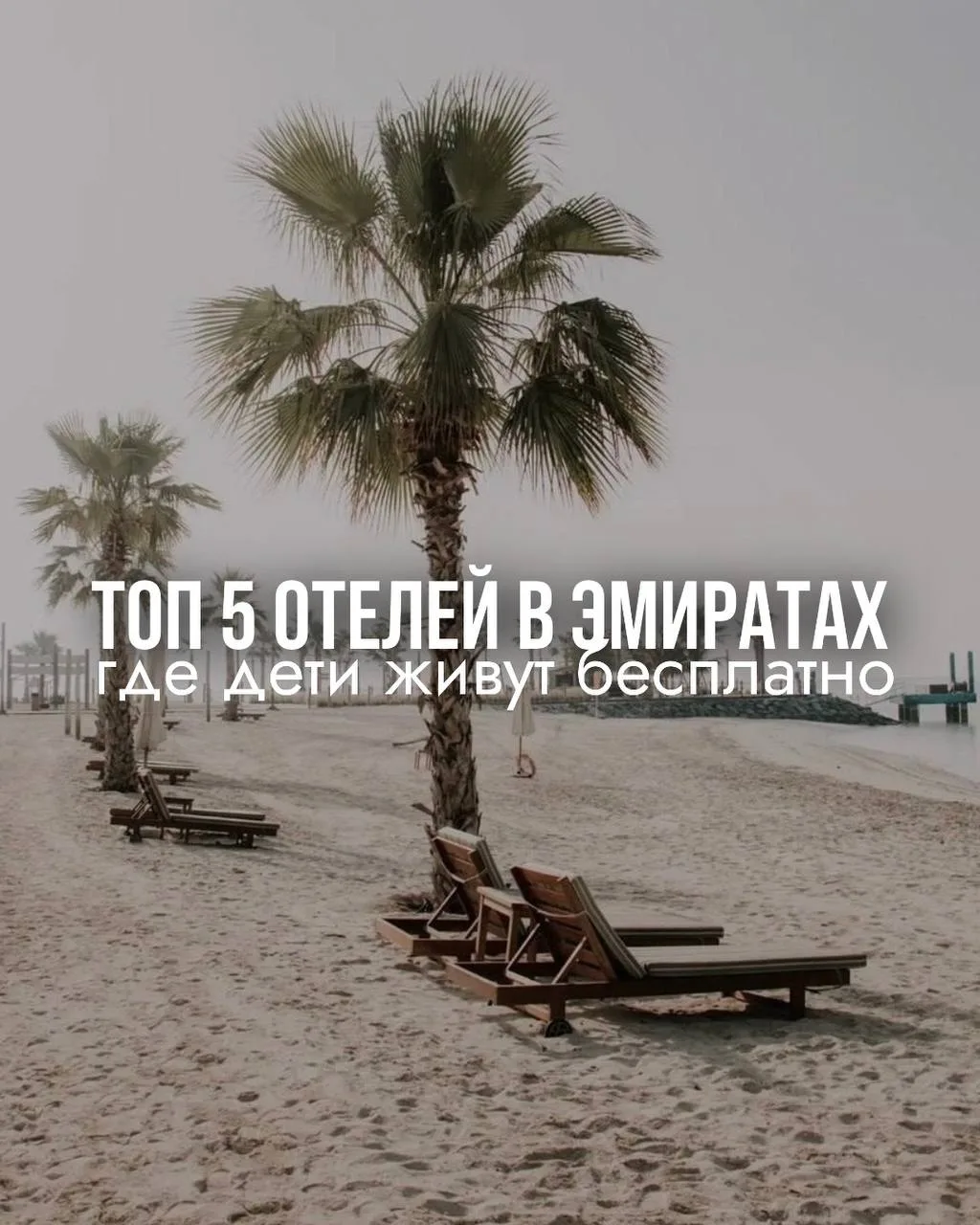 Как выгодно отдохнуть в Эмиратах с детьми❓