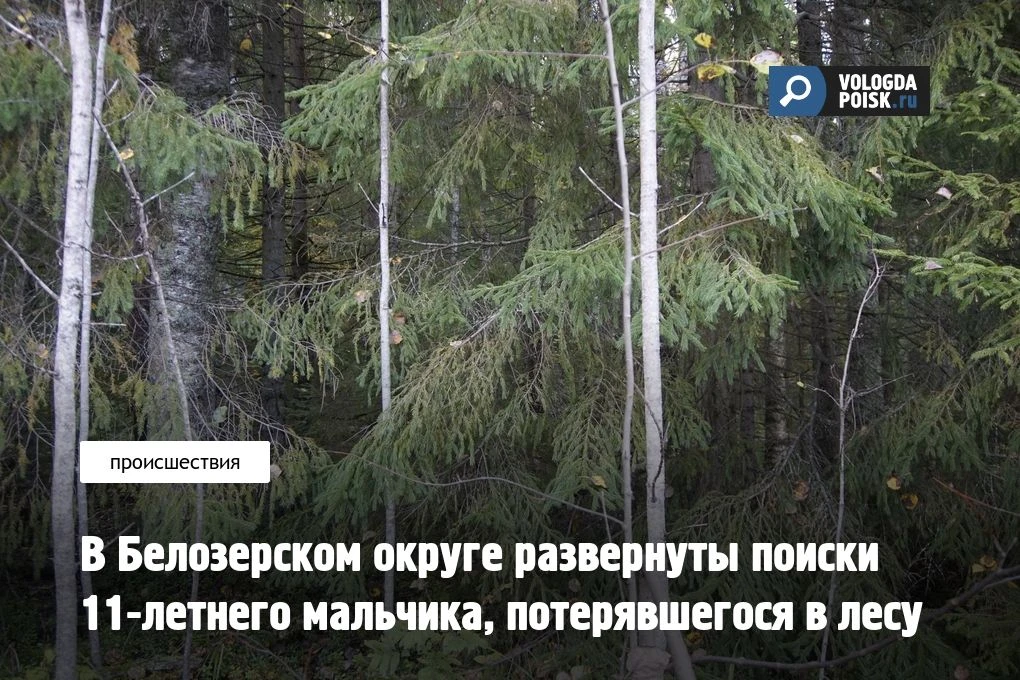 СРОЧНО. Белозерский округ: ищут 11-летнего мальчика