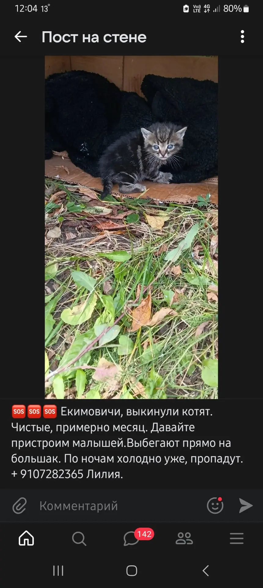 Обращаться по номеру или в лс