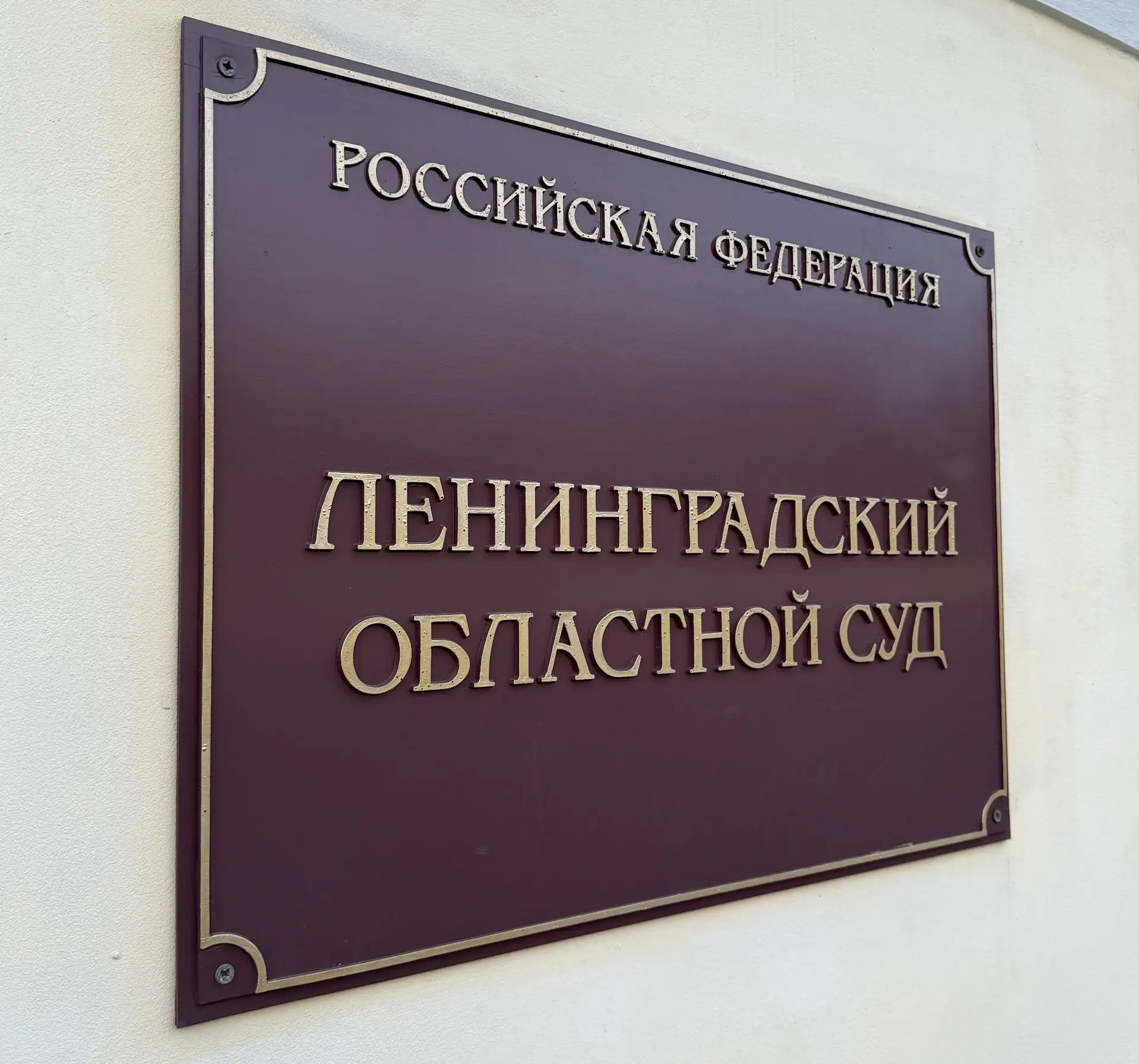 К 15 годам лишения свободы осуждена жительница Гатчины за незаконное производство наркотиков в особо