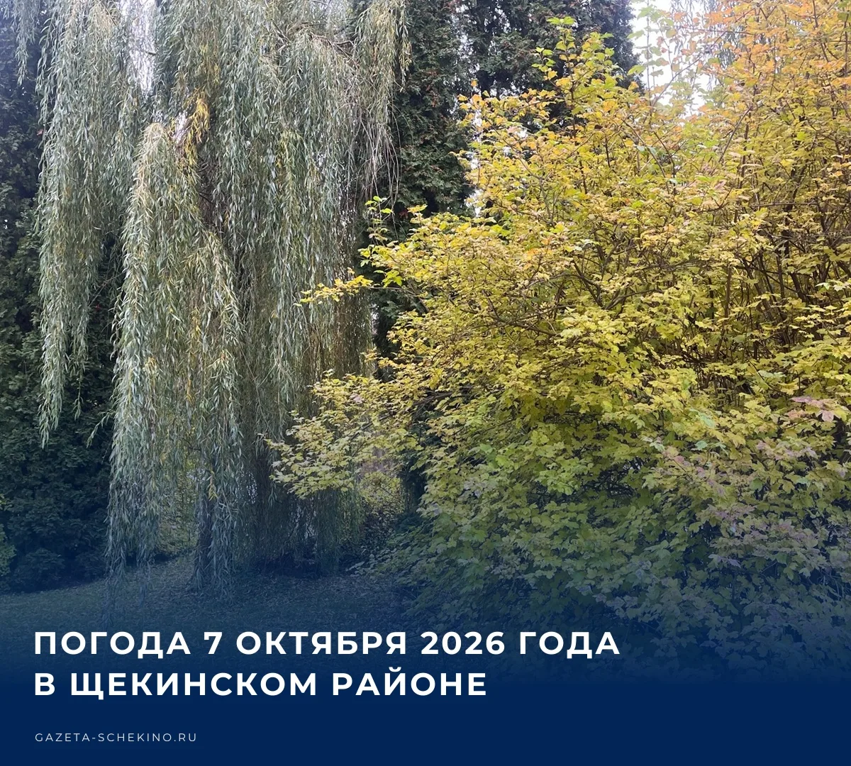 ☀️ Сегодня, 7 октября, температура воздуха днем в Щекинском районе поднимется до отметк...