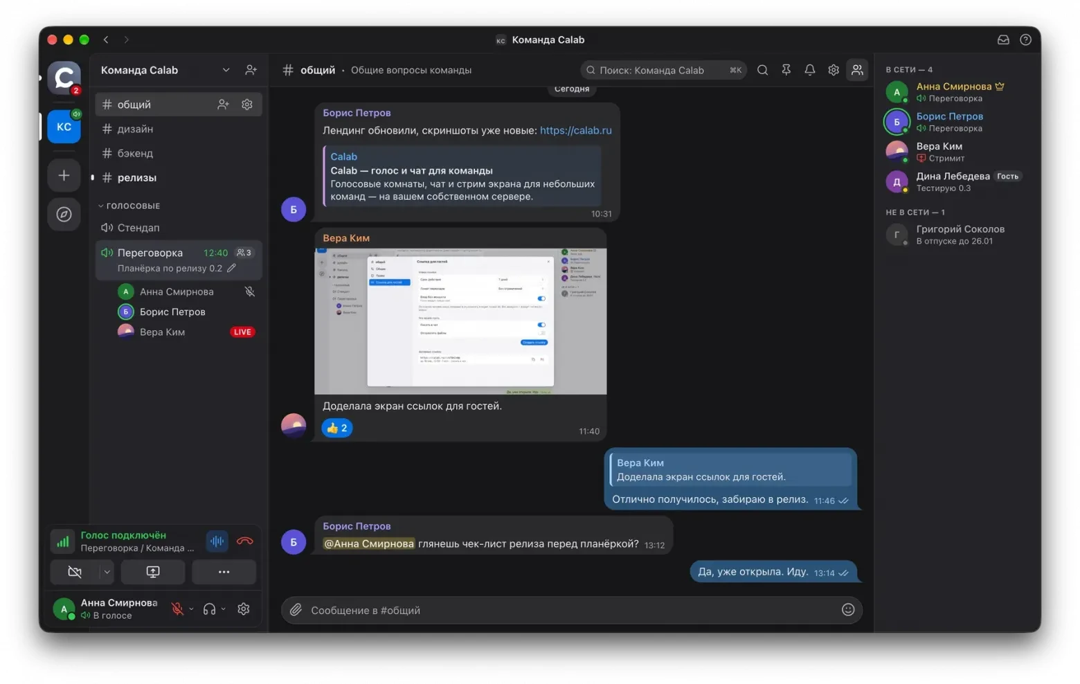 За сутки навайбкодил аналог Discord «Calab» с помощью Fable 5.1