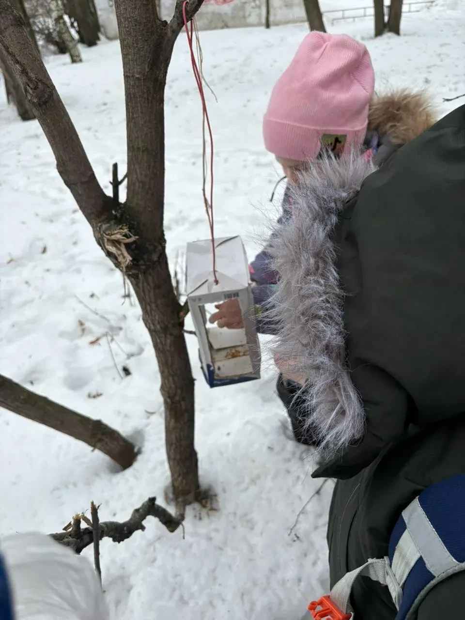 🕊️Ежегодно в нашей стране отмечается добрый экологический праздник - День зимующих птиц! Зимой птицы