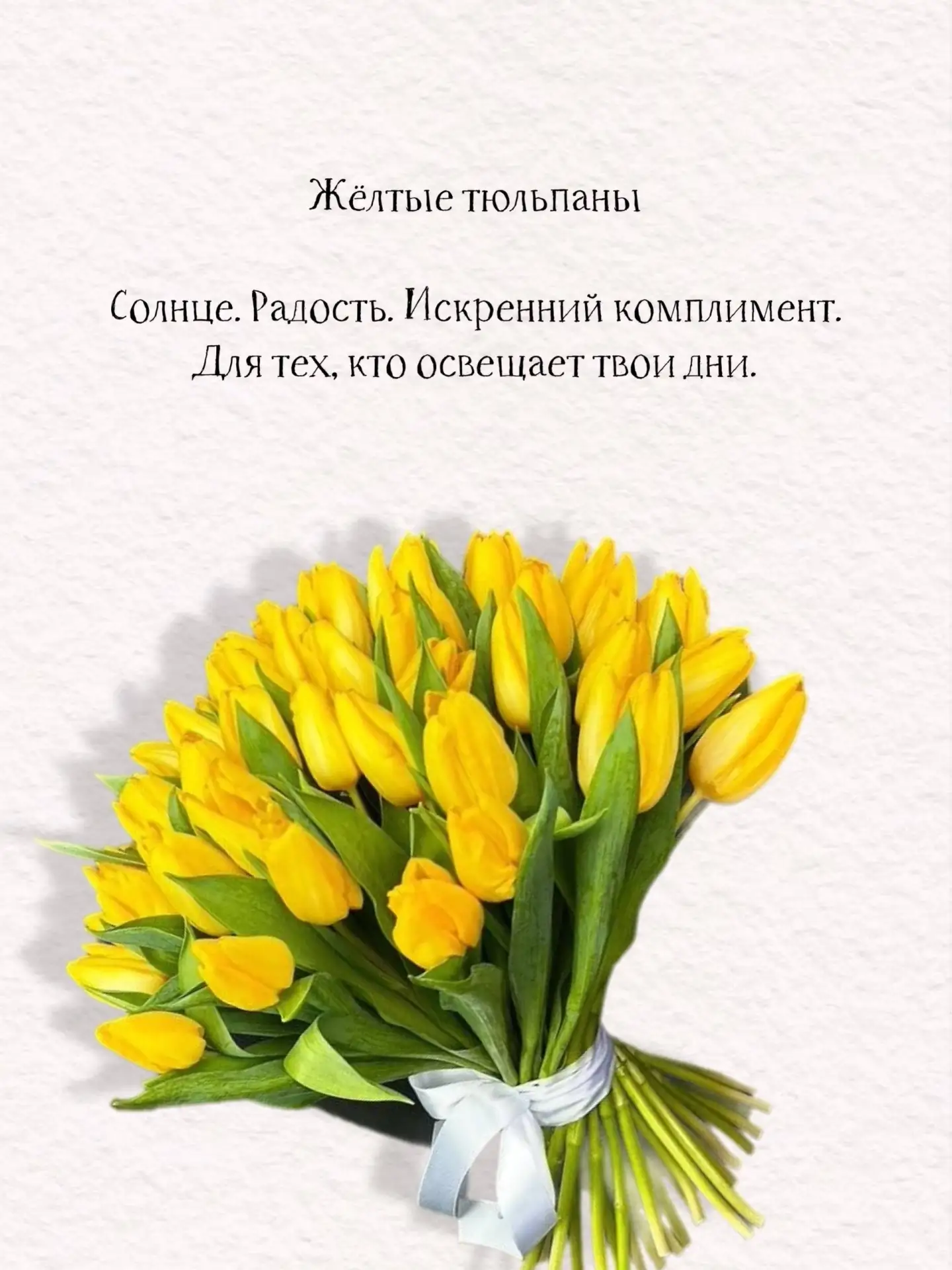 ТЮЛЬПАНЫ ОПТ-РОЗНИЦА ⁣⁣⠀ ⁣⁣⠀ 📍СУРГУТ/НИЖНЕВАРТОВСК⁣⁣⠀ ⁣⁣⠀ ⁣⁣⠀ > Тюльпаны премиум сортов⁣⁣⠀ > ОПТОВАЯ