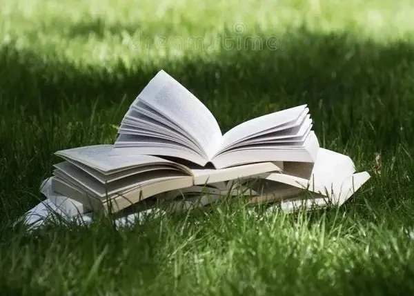 📚 Что почитать летом? Список литературы для будущих пятиклассников! ☀️
Уважаемые родители и дорогие