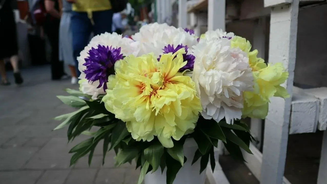 🌸 Пионы в Липецке: более 200 сортов в особняке купца  

В музее «Городская управа» в Липецке открыл