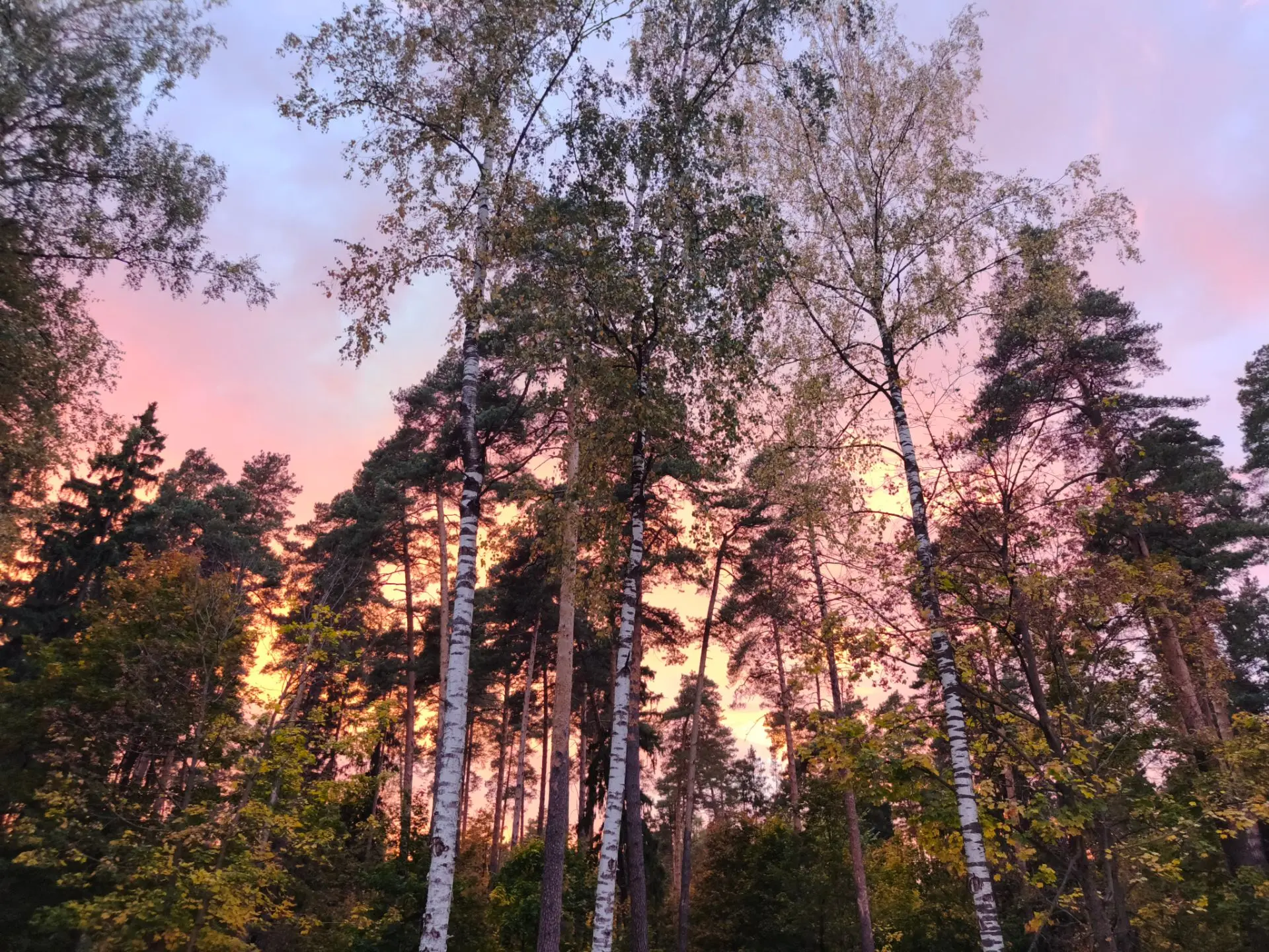 Помосковные вечера