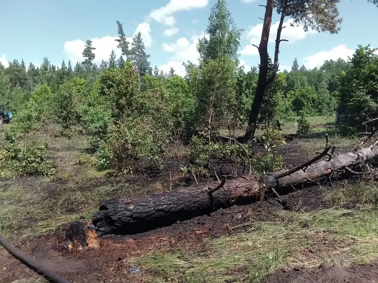 ⚡️Возле села Рамено в Самарской области возник пожар из-за обломков БПЛА

Все произошло в Рачейском 
